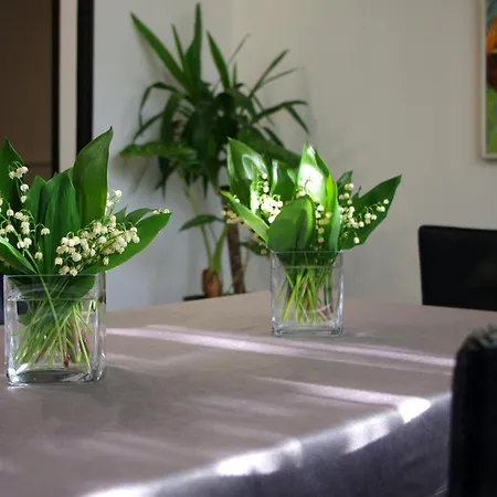 Private House 2km From Old Town *