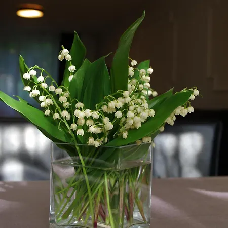 Private House 2km From Old Town * Riga